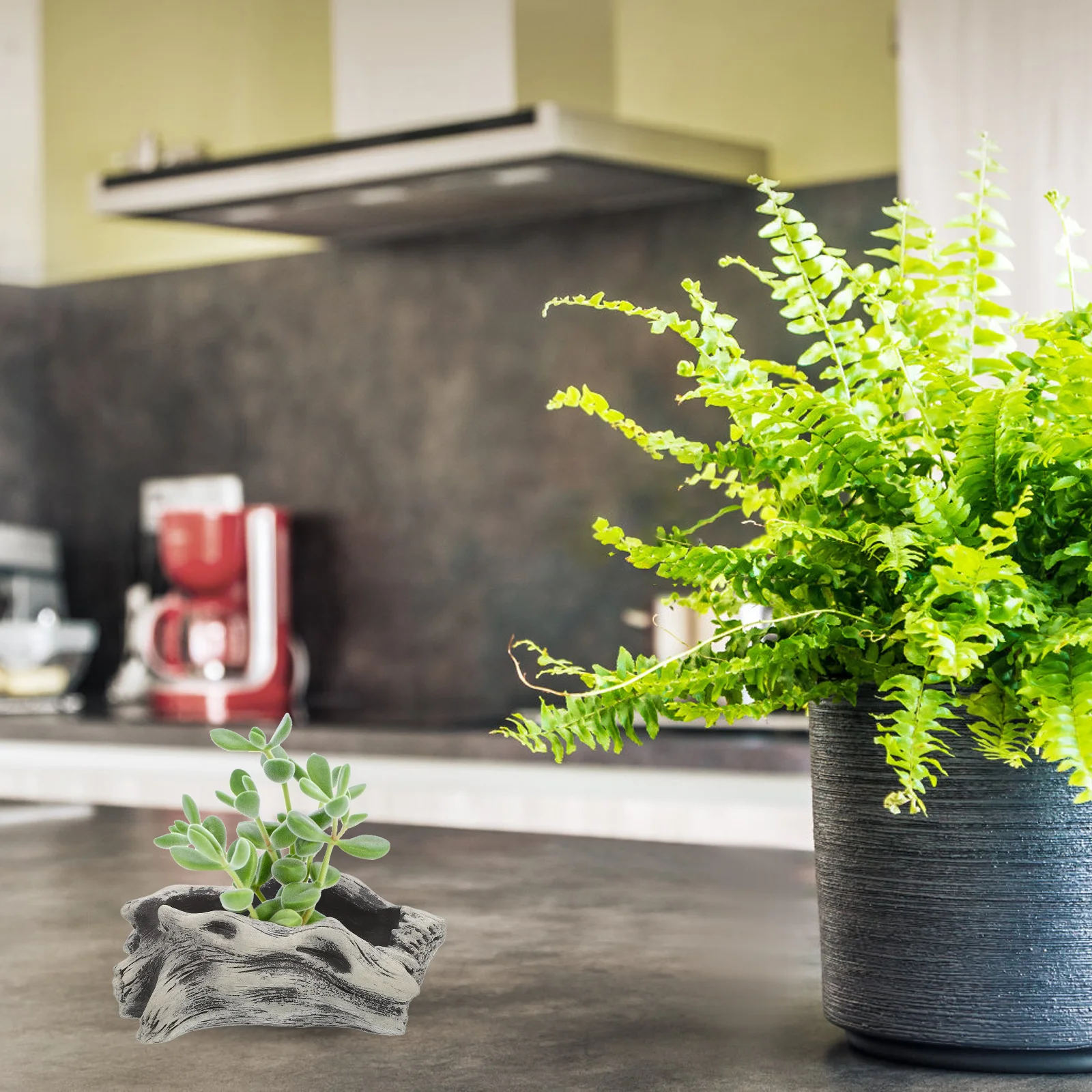 

1pcs Cement Succulent Planter Pot Small Shallow Bowl For Indoor Outdoor Decor Stump Shaped Flowerpot Grey Artificial Plants