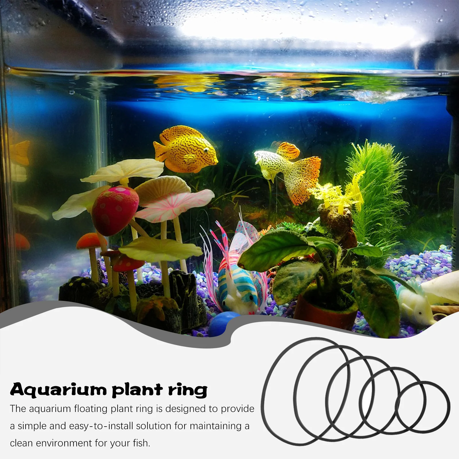 

5pcs Aquarium Floating Plant Rings Holder for Fish Feeding Tank Isolation Circles Grass Blocking Duckweed Control Ring Set