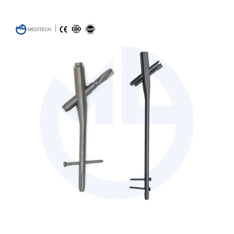 Instrumental Orthopedic Intramedullary Nail Pfna Femoral Reconstruction Interlocking Nail Intram