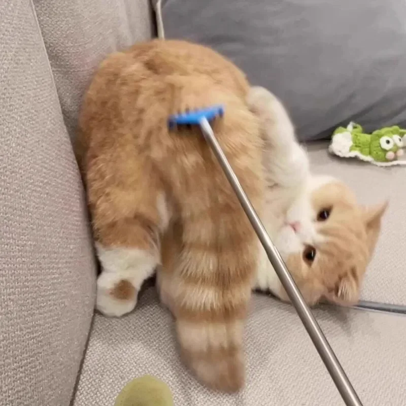 

Cat Toys Interactive Massage Itching Adjustable Long Rod Teasing Stick Pet Toys Pet Products Cat Supplies