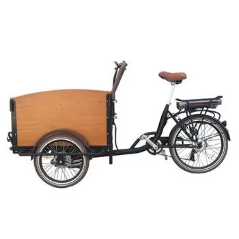 Factory Direct Sales Electric Tricycle with Customized Features 48V Lithium Battery Power Freight Shipped From China