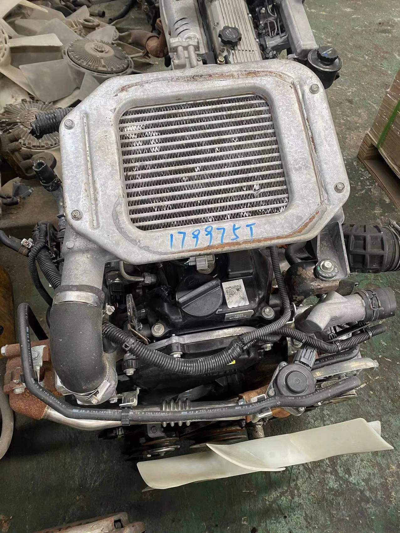 Good Condition USED GENUINE YD25 DDTI Car Engine in Good Condition Used for Navara