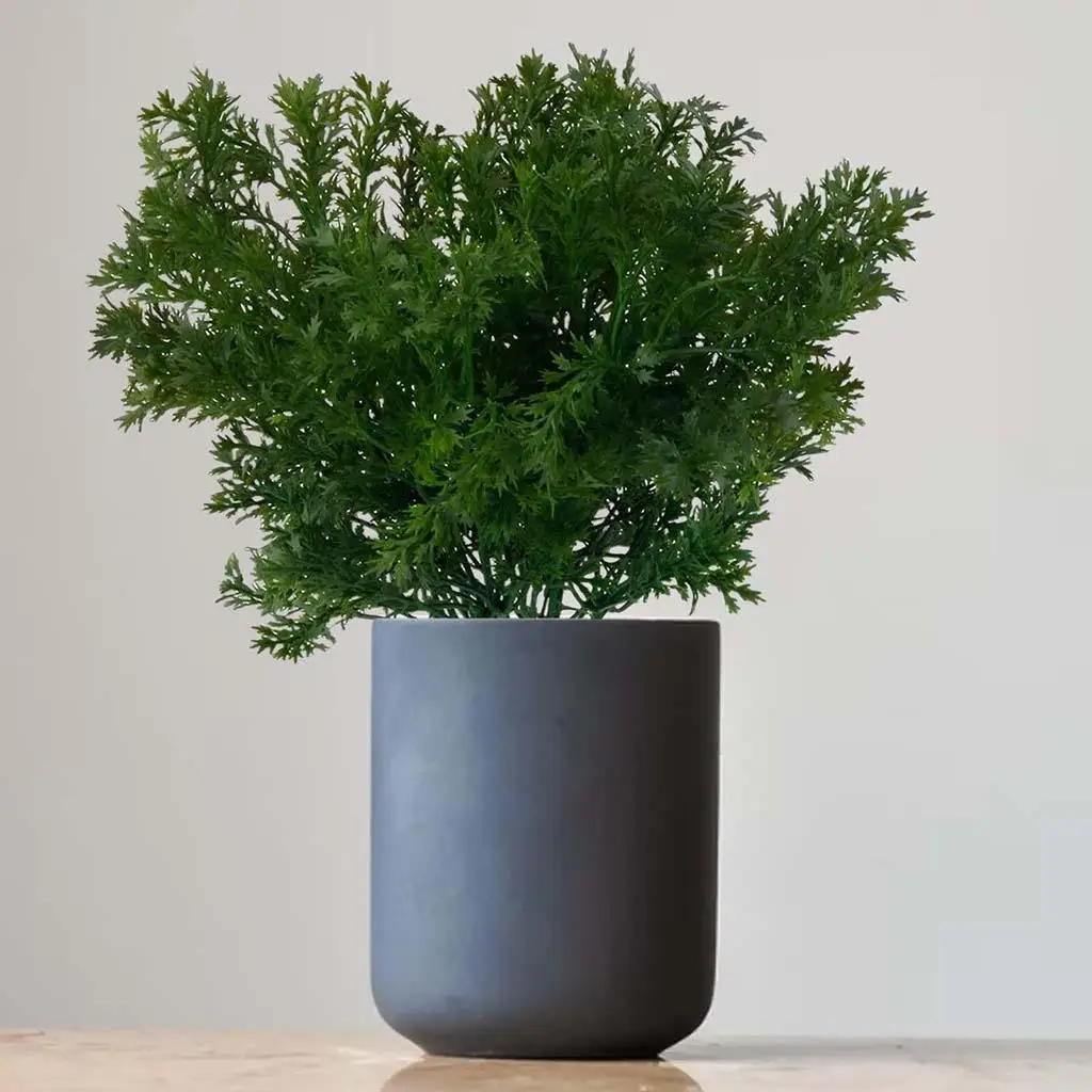 Parsley Greenery Plant Leaves Bunch Desktop Ornament for Office