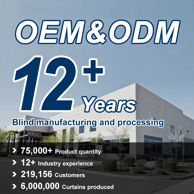 Curtains For Living Room Motorized Smart Automated Curtain With LED