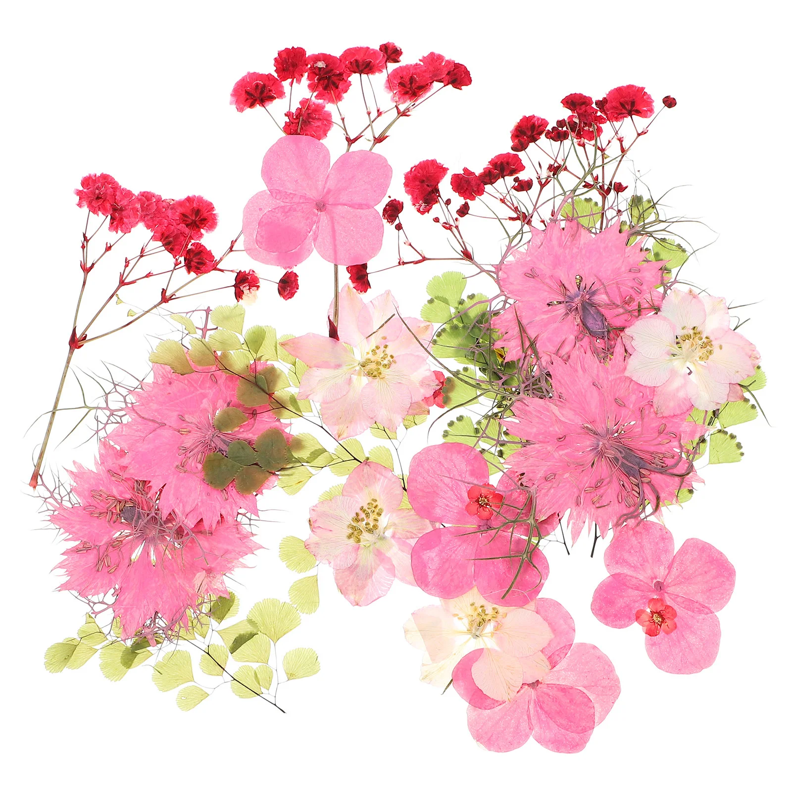 30 個ピンク押し花本物の自然色 DIY フラワークラフト材料結婚式の装飾ホームオフィスパーティー手作り花