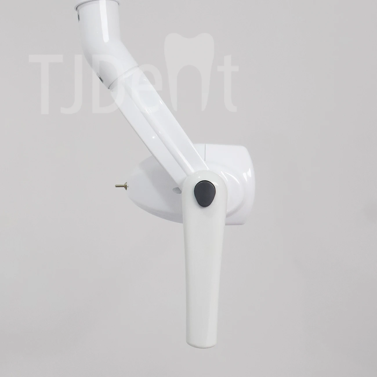 Thumbnail 3 - #17 Trending Oral Lamps Right Now