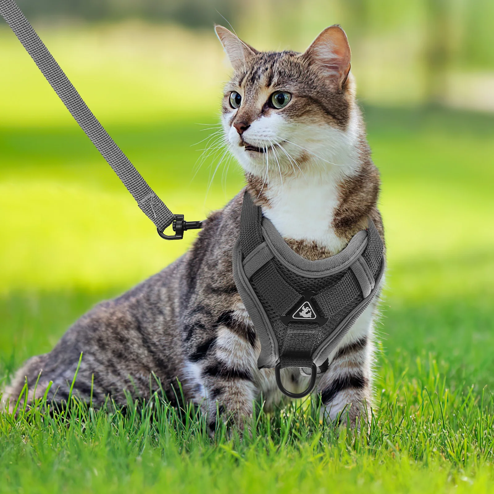

Dog Harness and Leash Set Comfortable Vest Style Breathable Reflective Walking Gear for Small Dogs Cats Pet Safety Outdoor Use