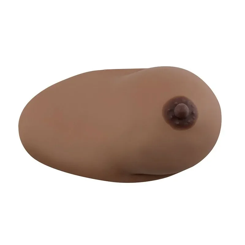 Ultrassist Dark Brown Female Breast Education Model with Base