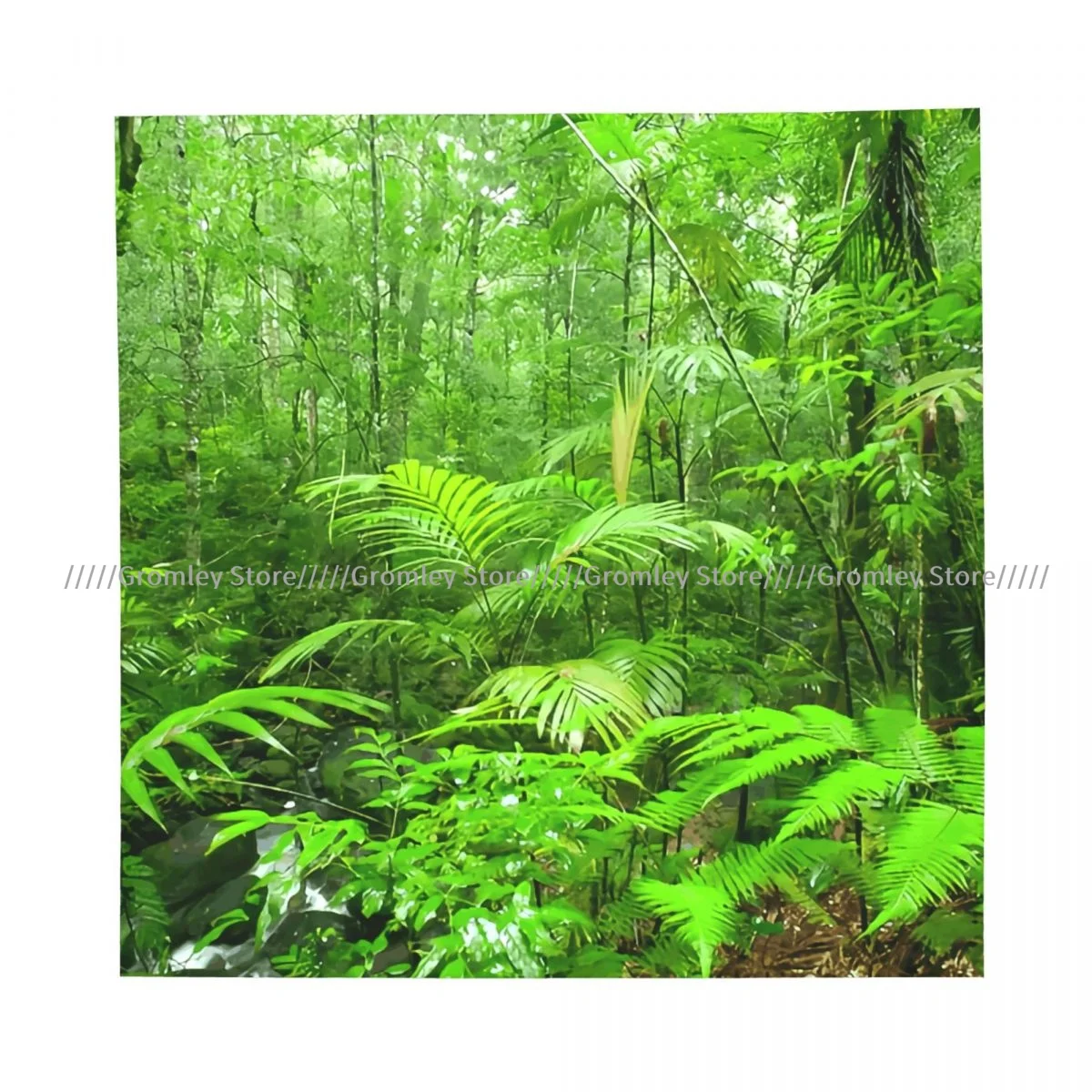 Tropical Forest On Rainy Morning Square Scarf Ladies Casual Head Neck Wrap
