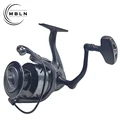 3000