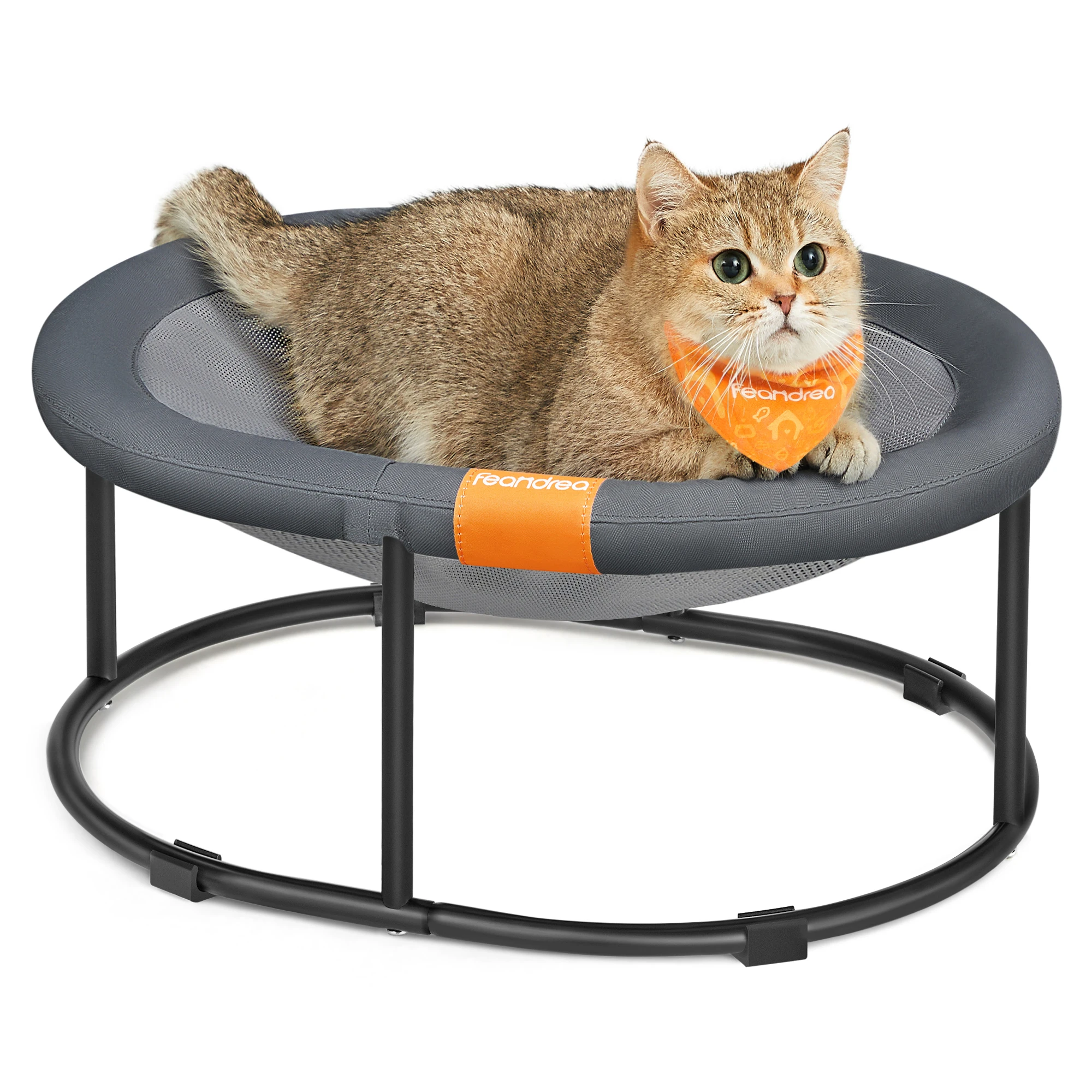 Feandrea Pet Bed, Cat Hammock, Elevated Cat Bed for Multiple Cats, with Removable Washable Mesh, for Pets up to 20 lb, Oval