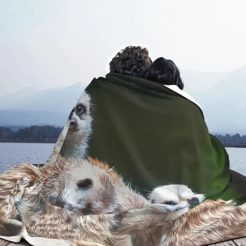Meerkat Family Throw Blanket, Soft Cozy Throw Blanket Cute Meerkats Fuzzy Warm Couch Bed Blanket for Adult Youth Queen King Size