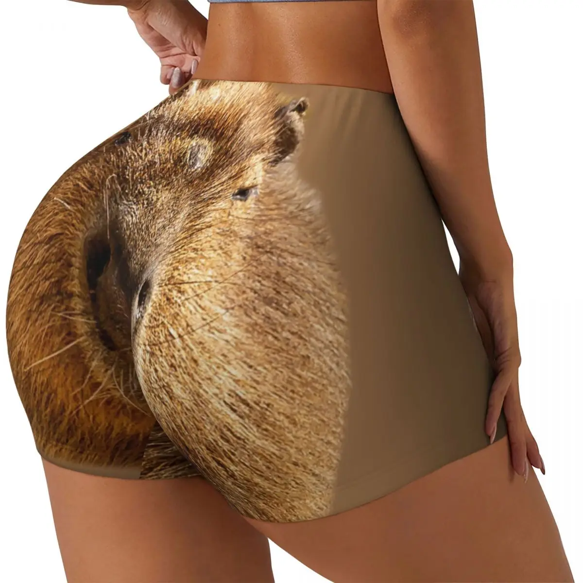 Custom Capybara Dozing In The Sunshine Printing Workout Shorts for Women Gym Running Biker Yoga Shorts