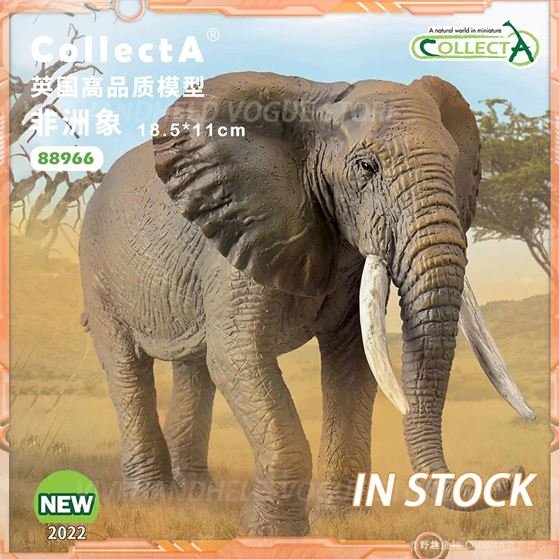 figurinha-de-elefante-africano-collecta-modelo-88966-185x11cm-figura-realista-para-criancas-brinquedo-educacional-de-aprendizagem-cognitiva