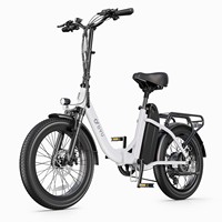 DYU C9 Foldable Adult Electric Bike 250W Electrical Road Bicycle 48V 15.6Ah Fatbike MTB E-bike 20\