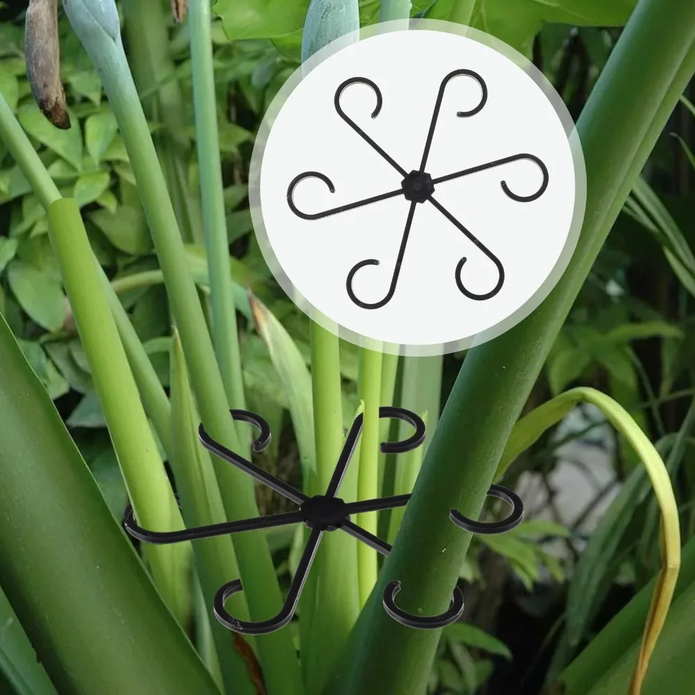 Hydroponic Gardening Plant Support Stake Frame for Monstera Spring Feather Anti Lodging Stabilizer Green Plants Flowers Pot Home
