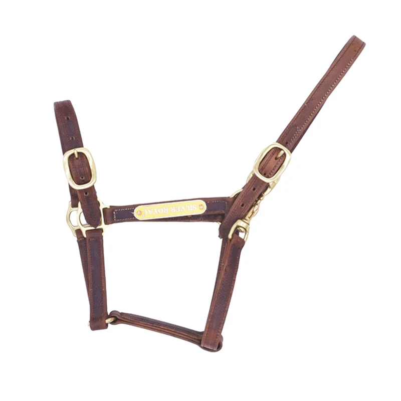 Cưỡi Ngựa Halter Bạc Hoàng Gia Dây Thiết Bị Horse Vòi Nước Da Điều Chỉnh Khóa Dây Da Bền