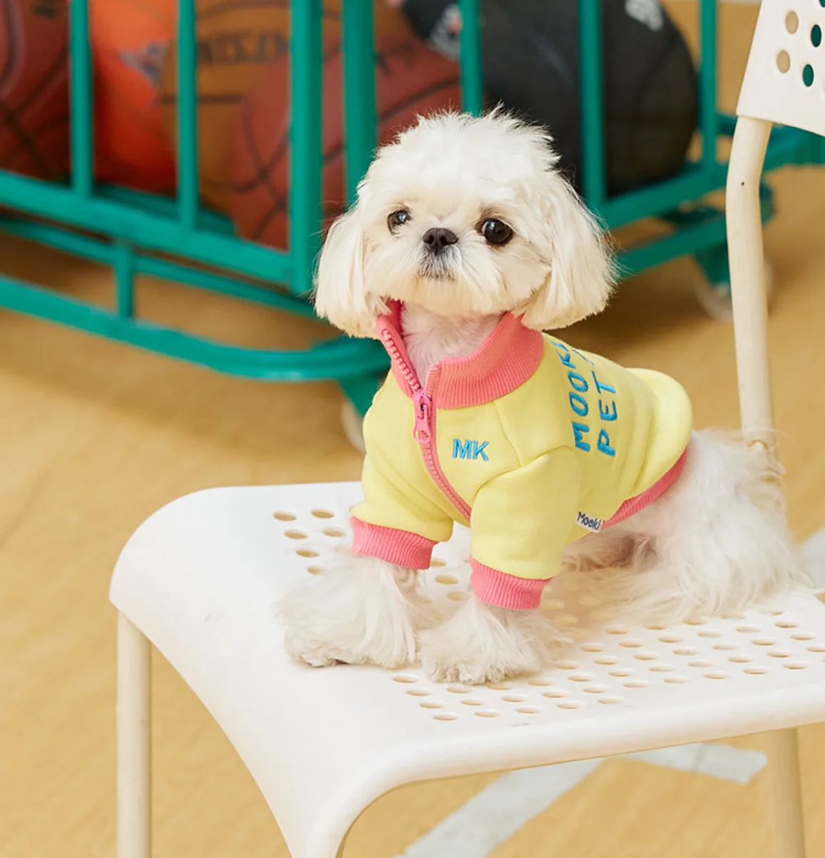 Spring summer clothes for pet, puppy, French Bulldog