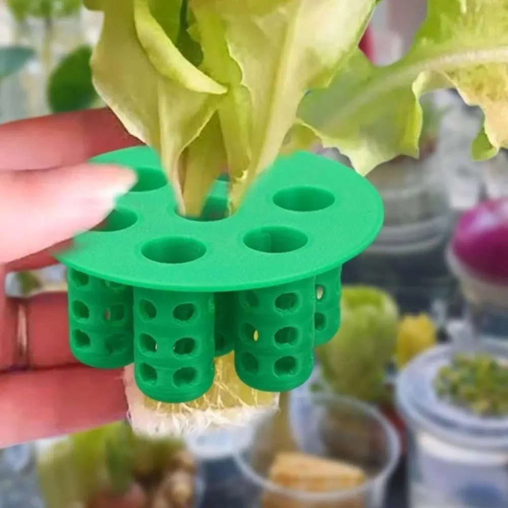 7-Hole Seed Germination Tray No Soil Easy Setup Seedling Tray Space-Saving Plant Growing Tool