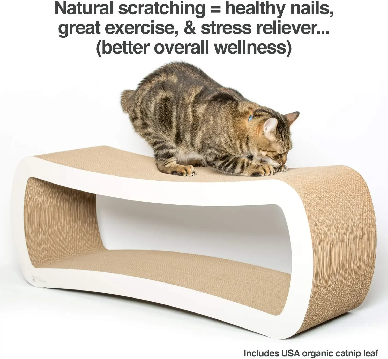 صالة PetFusion Jumbo Cat Scratcher الجديدة، أبيض. 39 × 11 × 14 بوصة 4 أسطح خدش من الورق المقوى ومستويين، خدش، سريع #3