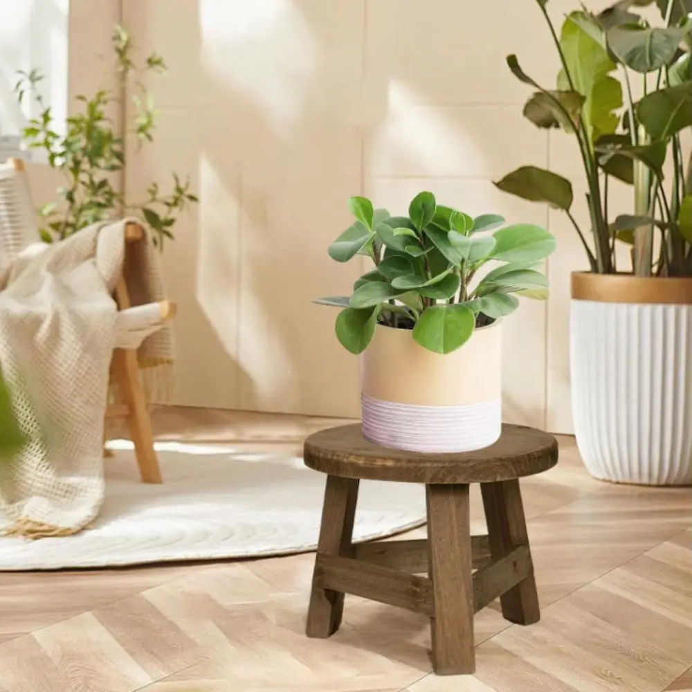 Round Mini Wooden Stool Mini Size Simple Design Flower Display Stand Potted Plant Wood Grain Succulent Plant Stand Office