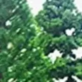25pcs Mixed Miniature Model Trees Plastic Green Scenery Layouts For Train Railway Diorama Architecture Garden Decoration Accesso