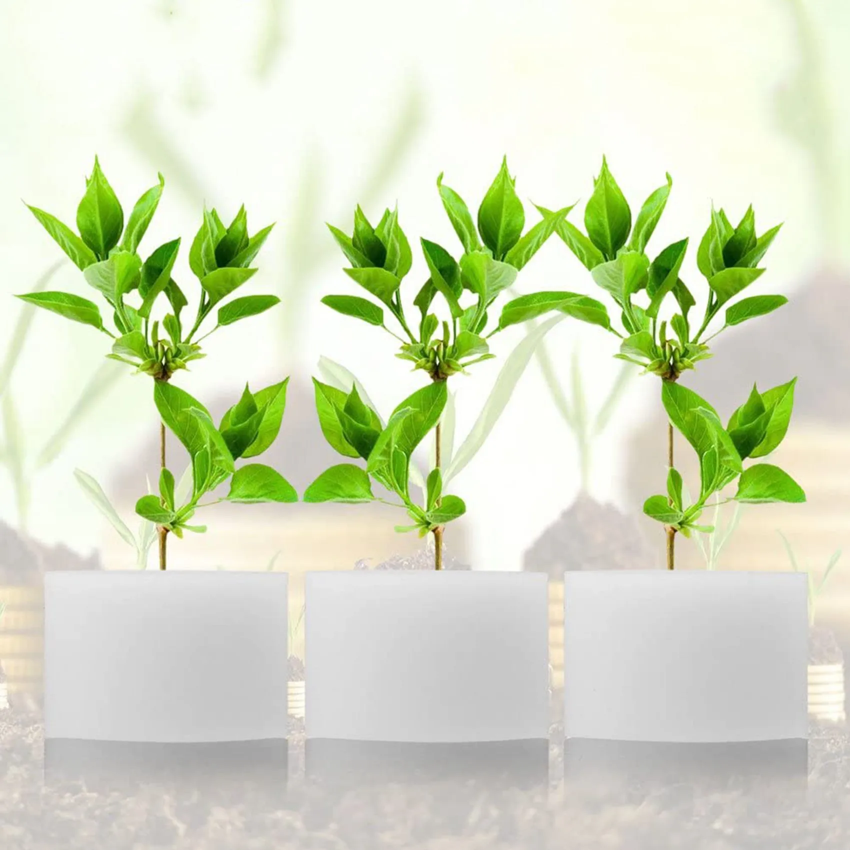AB33-500Pcs/Set Hydroponic Gardening Plant Tools Planted Sponge Vegetable Cultivation System 32X30mm