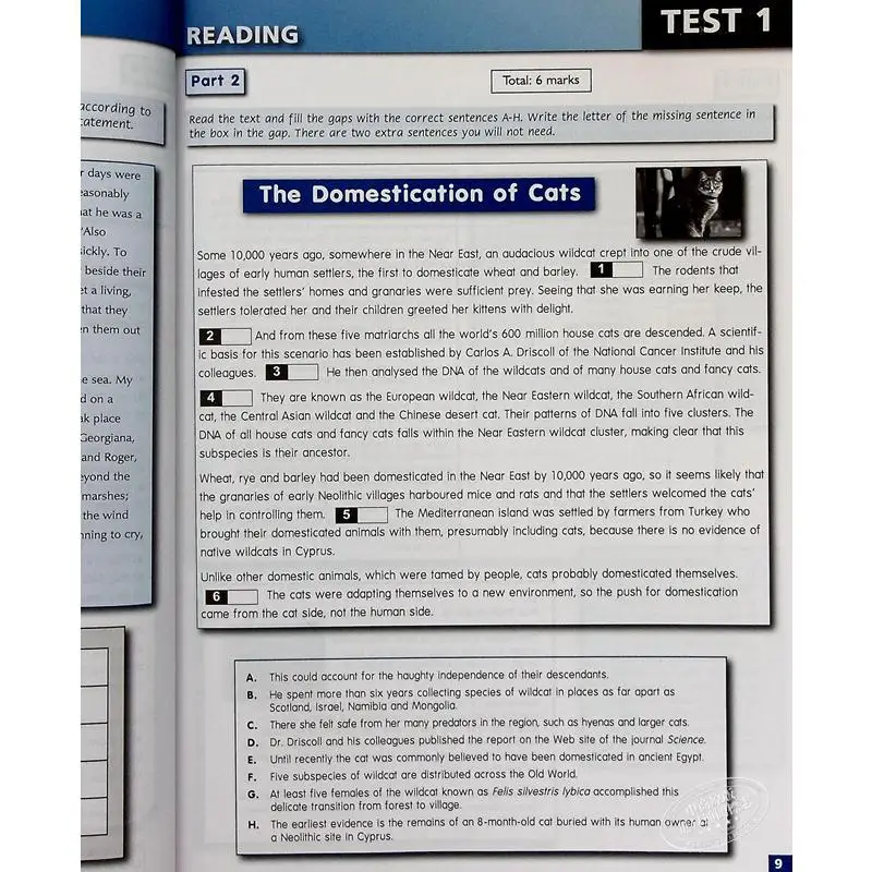 Succeed In LanguageCert  CEFR C2  Practice Tests   Selfstudy Edition GLOBAL ELT GLOBAL ELT 9781781645444 Book
