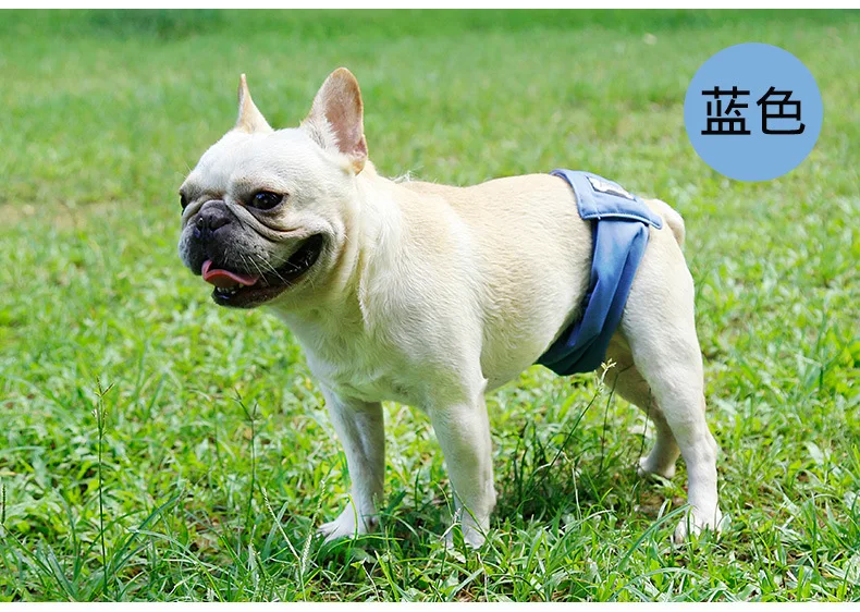 Hot Anti Harassment Dog Diaper Pants Teddy Golden Haired Male Dog Physiological Belt Waterproof Underwear Pet Hygiene Pants