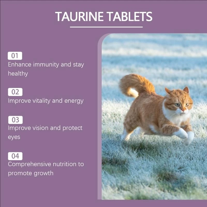 

Pet Taurine Tablets Care for Senior Cats for Immunity and Heart Strength