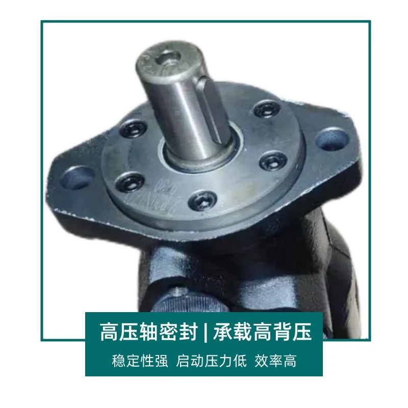 Praise Vertical Injection Molding Machine Feeding Motor BMR-100-2AD-N Hydraulic Cycloid Motor, Injection Molding Machine Parts