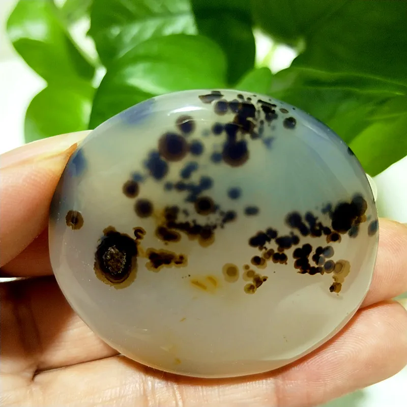 Natural Stone Waterplant Sea Agate Palm Stone Spiritual Meditation Energy Yoga Cure Feng Shui Crystal Ornament