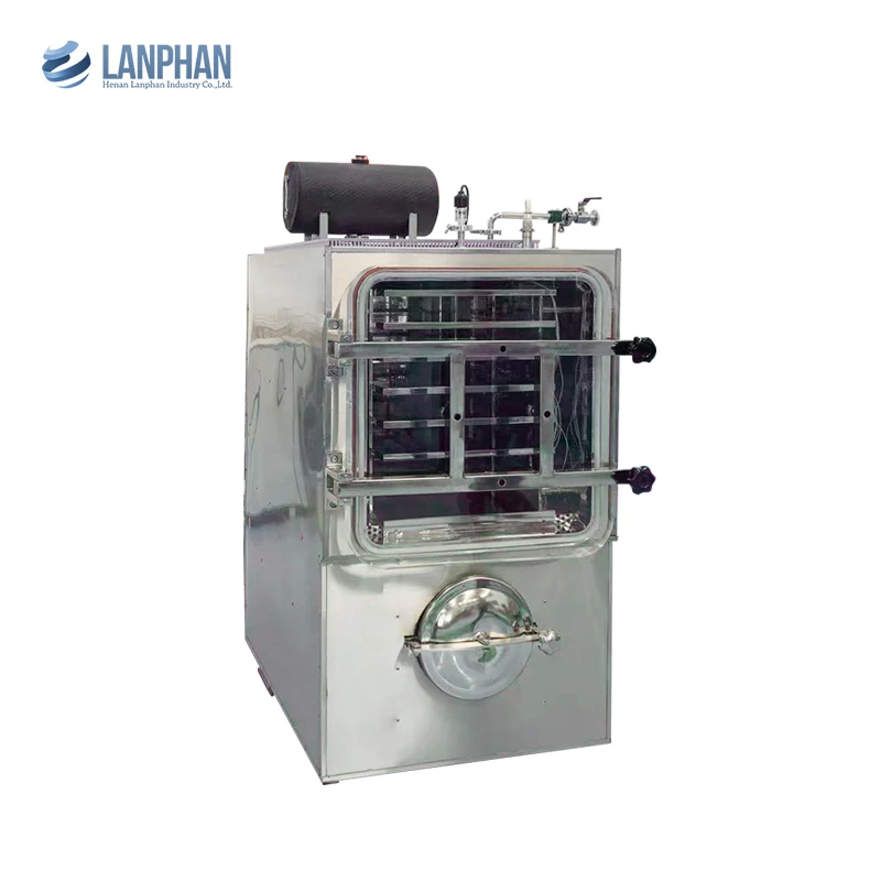 Macchina per liofilizzante multifunzionale per liofilizzatore sottovuoto da laboratorio in polvere cosmetica per alimenti pilota da 6 kg