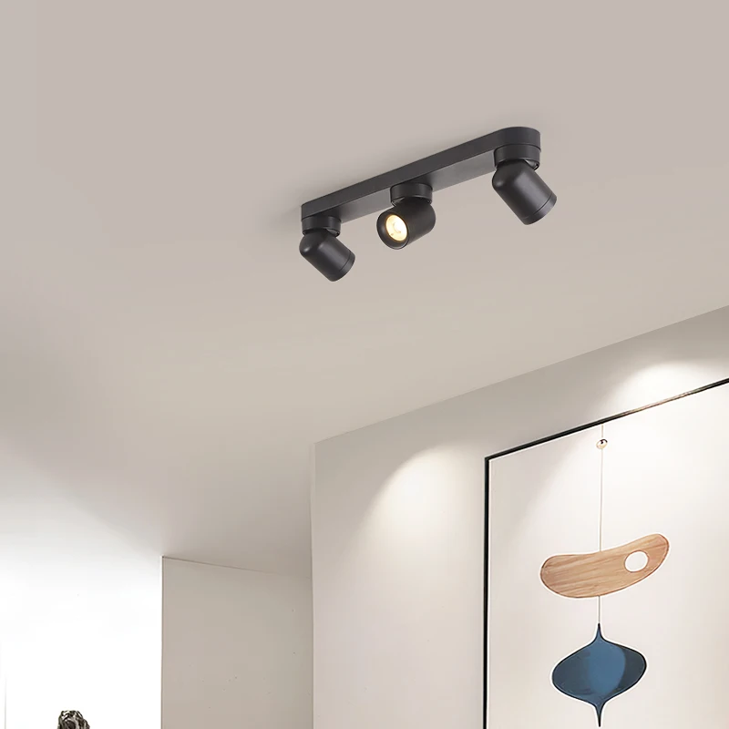 

Highlighted hallway cloakroom bedroom dining room ceiling light aluminum body black white ceiling lamp with LED spotlights