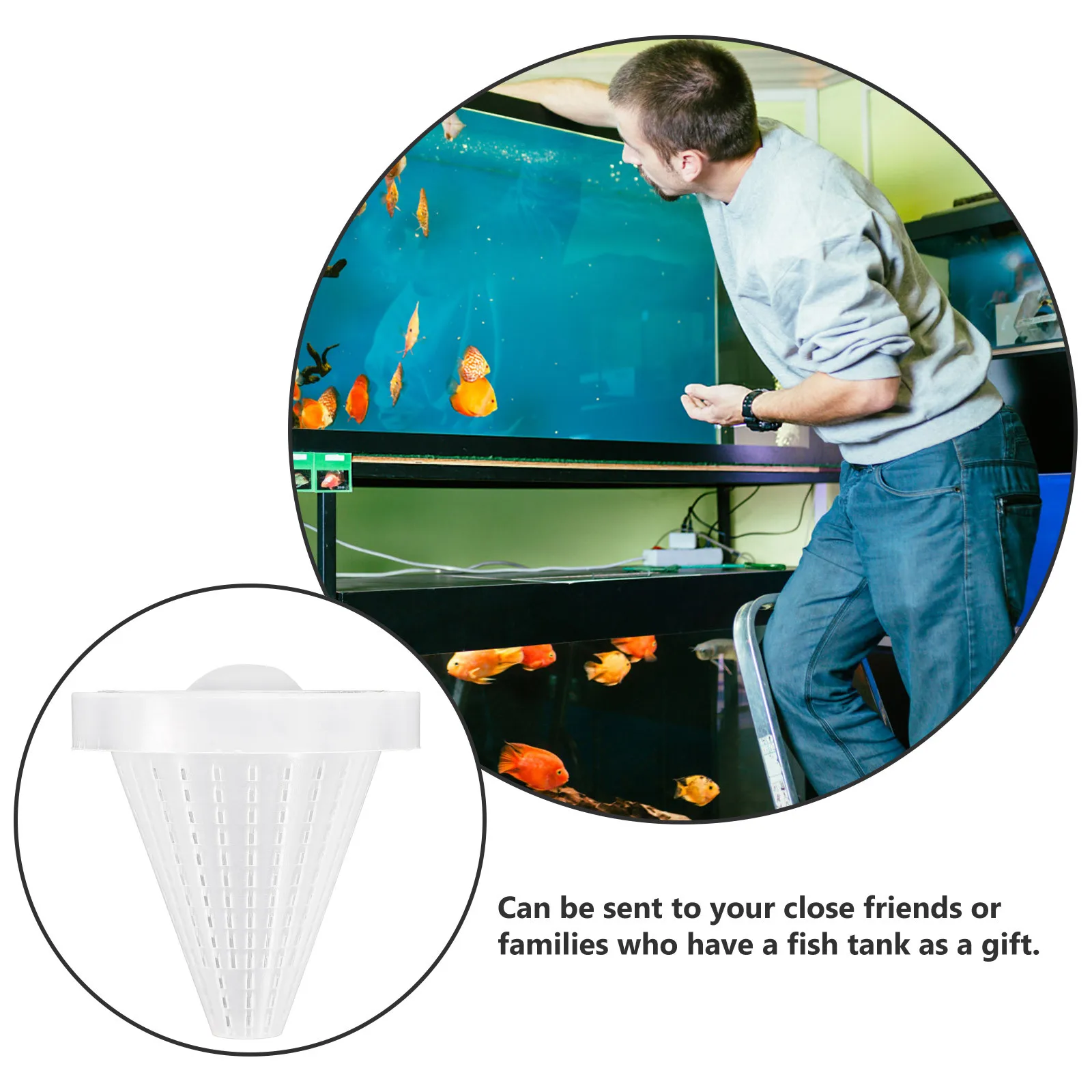 

10pcs Aquarium Feeder With Suction Cup Fish Tank Cone Worm Feeder Tool Red Worms Live Food Protector Strong Sucker (Random