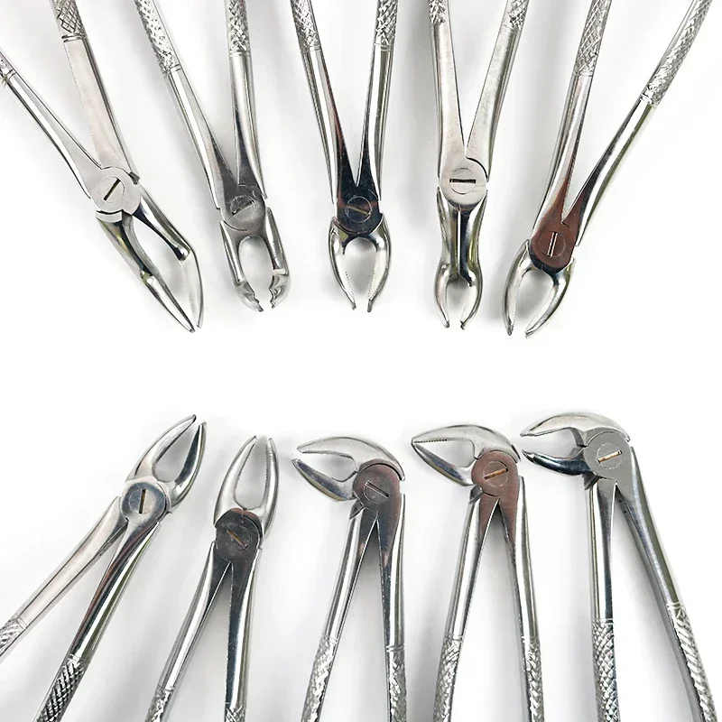 10pcs/set Adult Pliers Dentals Extraction Forceps Set Stainless Steel Minimally Invasive