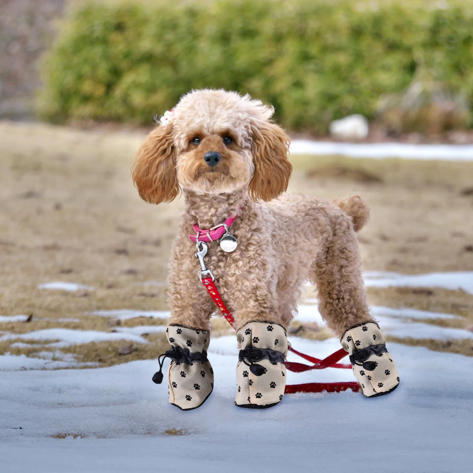 

4pcs Dog Shoes Pet Boots Small Puppy Protector Non Slip Waterproof Breathable Adjustable Soft Sole Indoor Outdoor Dog Paw