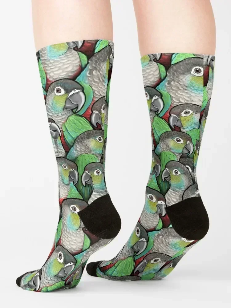 Crimson-bellied Conures Socks basketball winter thermal Christmas floor Socks For Men Women's