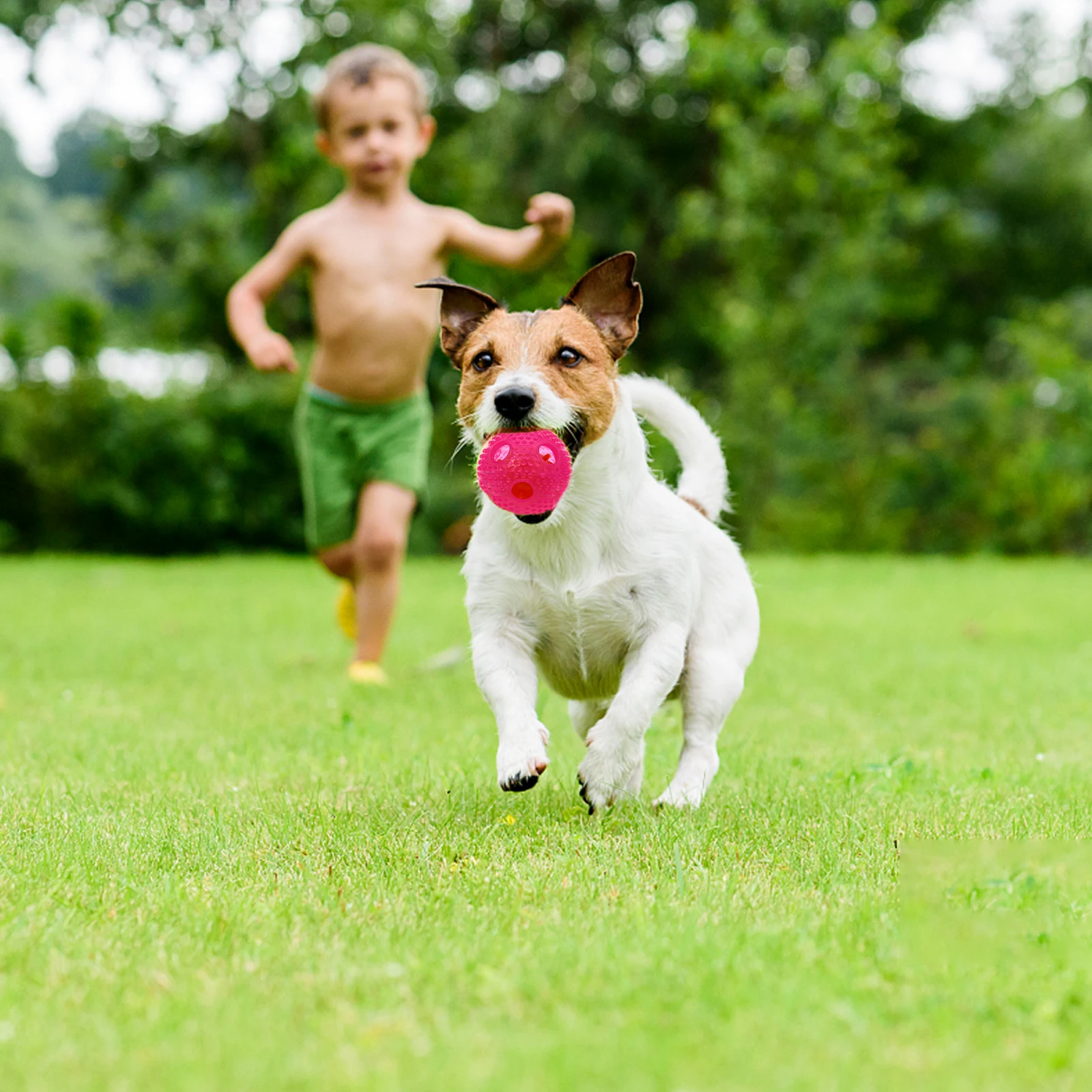 

Dog Chew Toy Pet Feeder Slow Feed Treat Small Toys Creative Design Shape Helps Pets Chew Keeps Gums Healthy