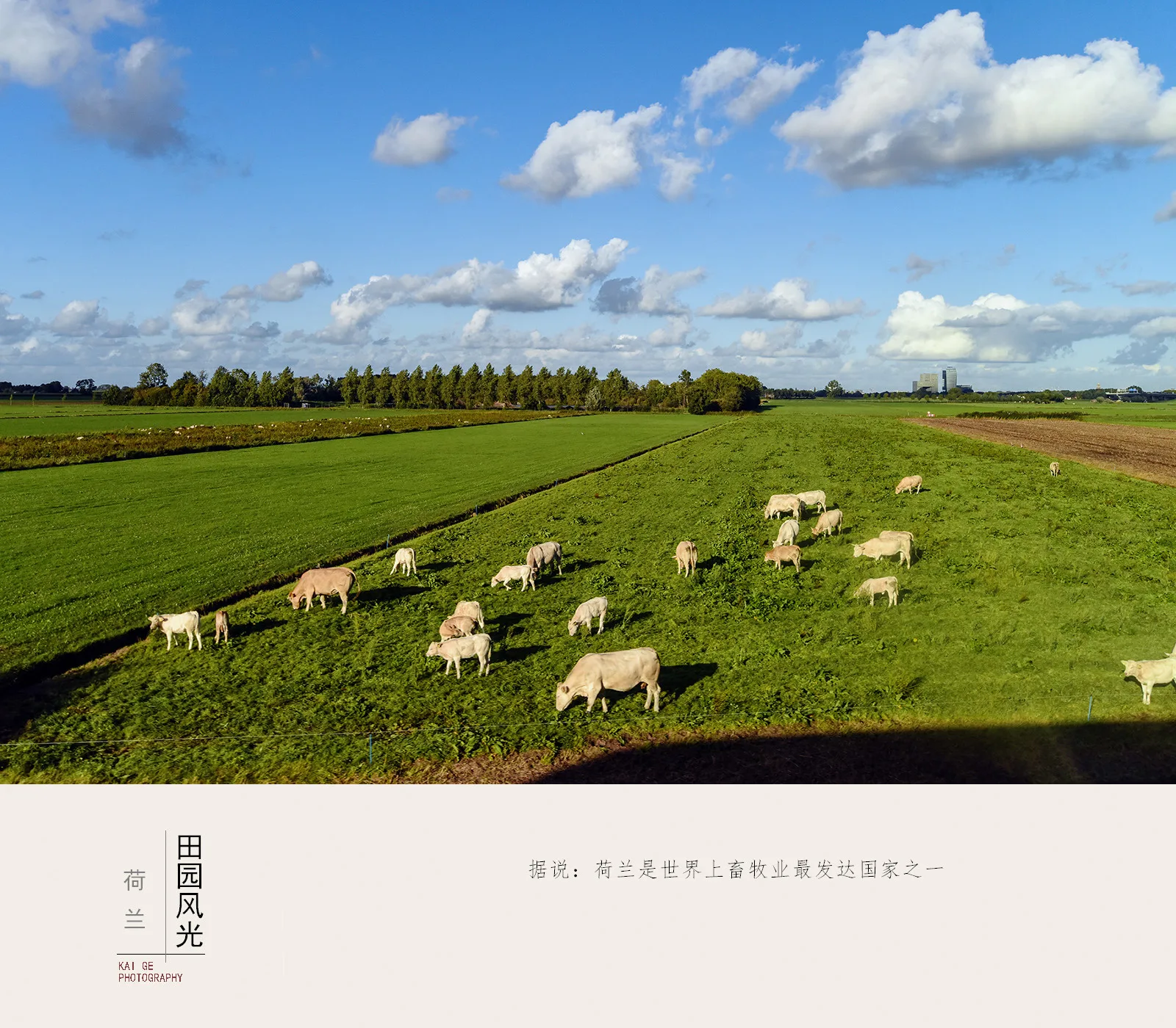 

Передние и задние опорные стойки для Hyper GO MJX 1/14 14211 OP, металлические детали для модернизации, аксессуары для радиоуправляемых моделей краулеров, грузовиков, багги