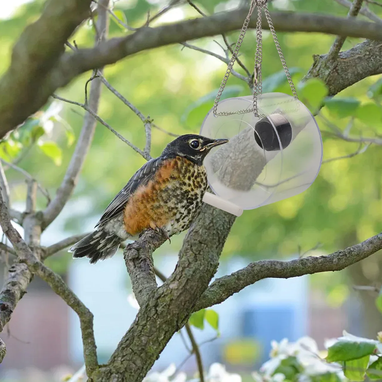 

High Quality Bird Cage Basket 1pc Accessories Indoor Wildlife With Camera Yard Feeder Garden House Multifunction
