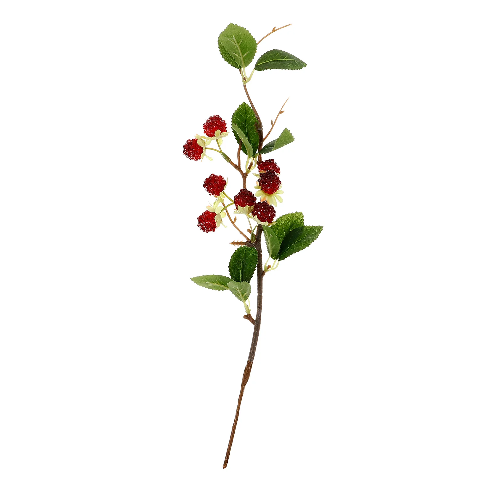 

1pcs Simulated Raspberry Ornaments Faux Lifelike Fruit Stems Decoration Adorable Props for Tabletop Home Fake