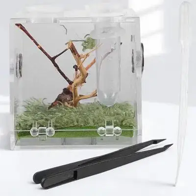 

Reptile Habitat Breeding Box Acrylic Spider Terrarium Clear Case for Scorpion with Dropper Forceps Reptile Supply Universal Use