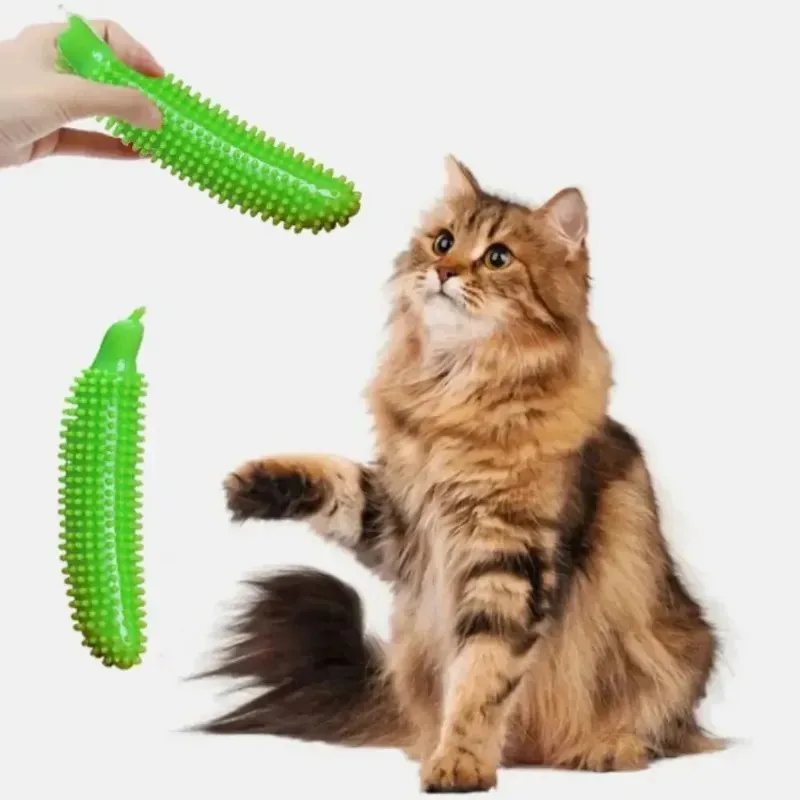 

TPE Dog Chew Toys for Teeth Cleaning Cucumber Shape Dental Sticks Long Lasting Bite Resistant Molar Stick Wear Resistant Dog