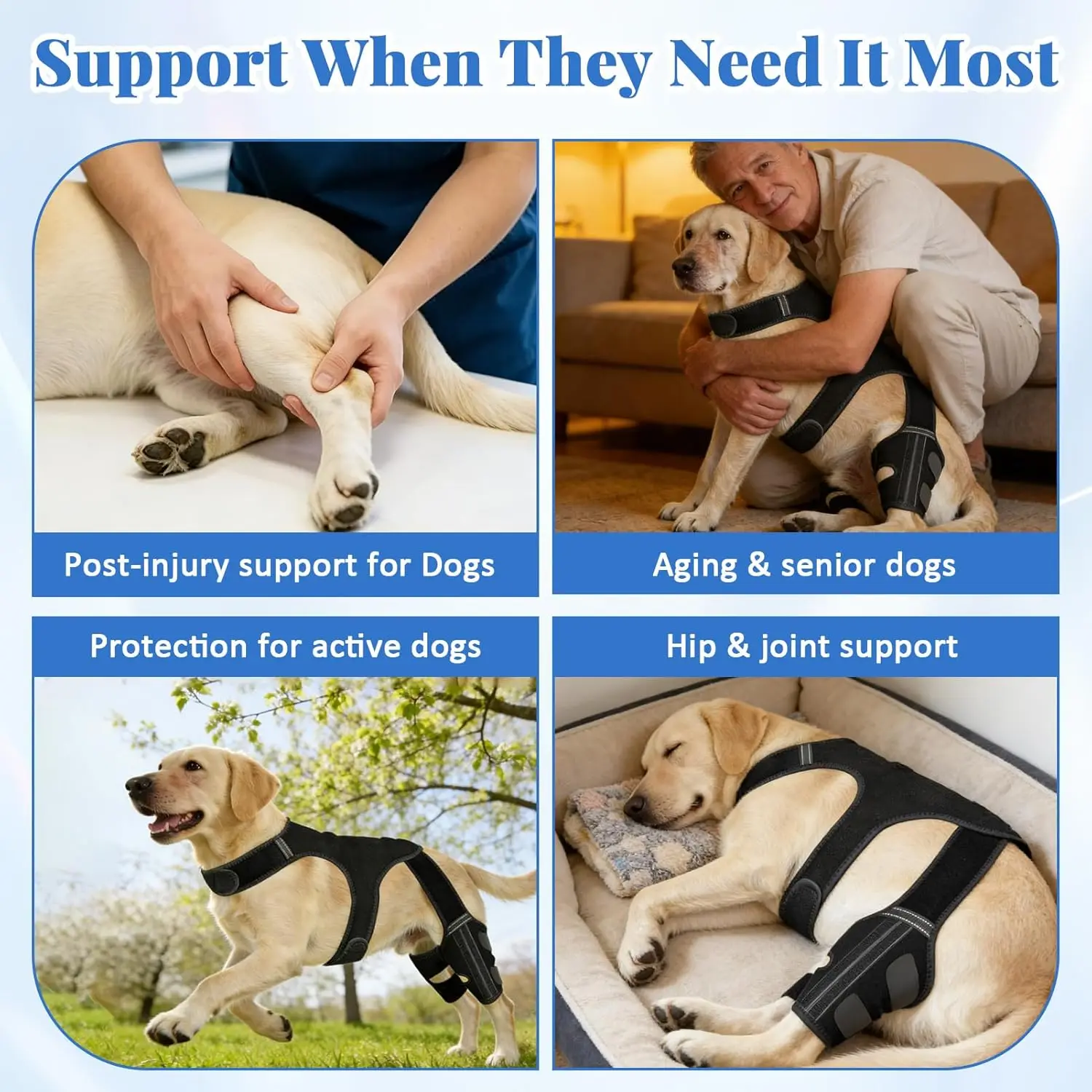 Dog Knee Braces for Back Leg,Knee Support for Dogs ACL/CCL Care Ideal for Dog Back Seat,Double Leg Stability For Puppy Recovery