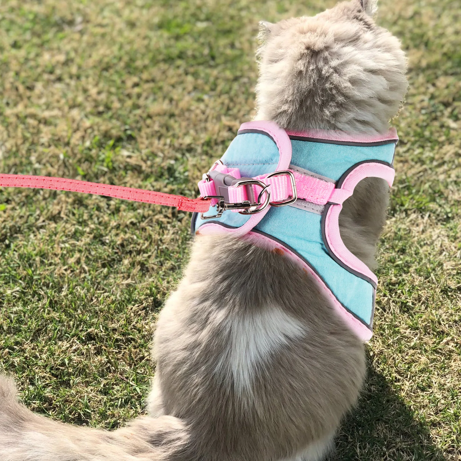 

1 Set Adjustable Cat Harness Pet Walking Rope Outdoor Small Size Reflective Puppy Vest Escape Proof Wear Resistant Comfortable