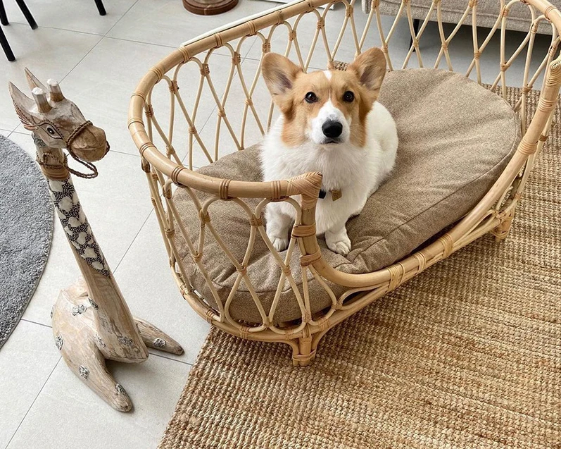 Vine woven pet bed, cat creative dog sofa, rattan chair, personalized baby small rattan bed