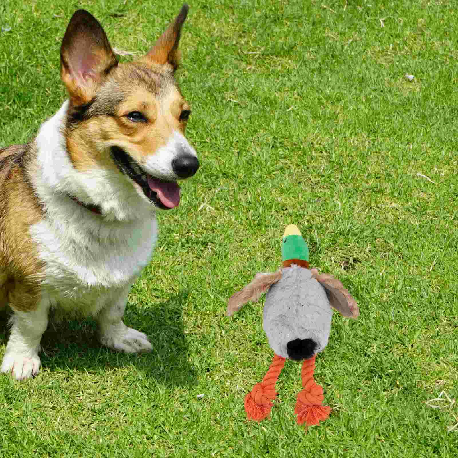 

Pet Plush Toy Adorable Funny Creative Sound Toys Plaything for Dog pet squeak toy dog toy pet toy pet supply
