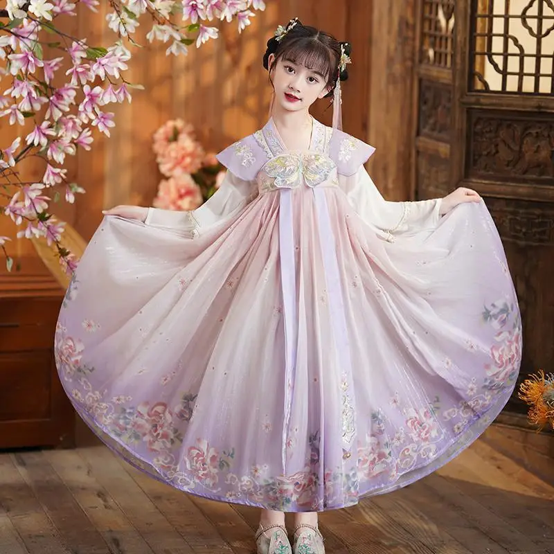 Elegant Purple Hanfu Traditional Chinese Tang Dynasty Style with Butterfly Floor-Length Tulle Long Sleeve for Girls Dress