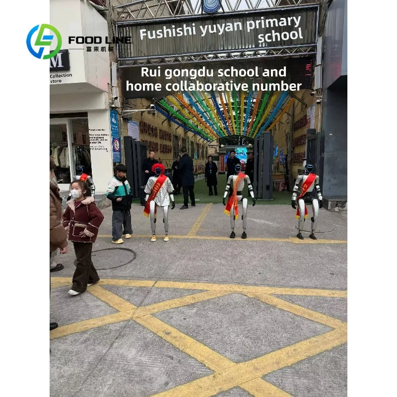 customized New Humanoid Robot for Research Lab University Intelligent AI Vision Walking Record Features array microphone